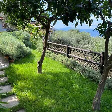 Olive - Moderno Tra Gli Ulivi Di Sorrento
