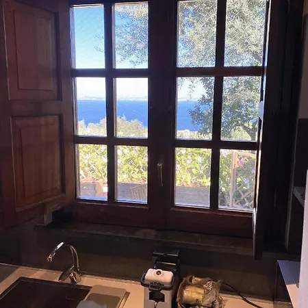 Olive - Moderno Tra Gli Ulivi Di Holiday home