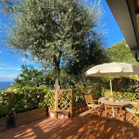 Holiday home Olive - Moderno Tra Gli Ulivi Di